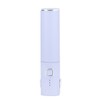 Mini Hair Straightener Portable Straight Curly Hair Flat Iron Rechargeable