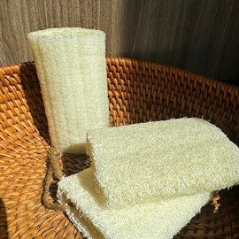 Esponja Exfoliante Corporal Lufa Natural Cuidado Piel Baños Spas Duchas Paquete