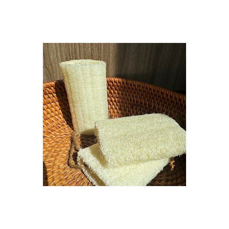 Esponja Exfoliante Corporal Lufa Natural Cuidado Piel Baños Spas Duchas