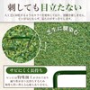 Artificial Grass Pin, Screw Pin for Artificial Grass Mat and