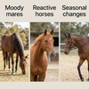 Freestep Pure Agnus Castus | Natural Mare Calming and Hormonal