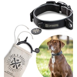 Dog Collar Blue Neoprene Padding – Premium Dog Collar Jack & Russell Various Sizes and Colours, Black