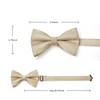 HISDERN Bow Tie Pre-Tied Men's Bow Tie with Pocket Square
