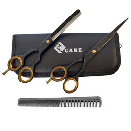 Professional Hairdressing Scissors, Japanese Stainless Steel Salon Scissors - 16.5 cm - Finely Adjustable Tension Screw - Premium Hair Cutting Scissors (Set (6.5")