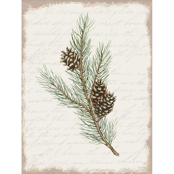ArtDirect Pine Cone Botanical II 8x10 UnFramed Art Print Poster Ready for Framing by Jacobs, Cindy