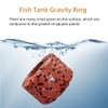 20 Pcs Aquatic Water Plant Fixed Rings, Aquarium Anchors Fish