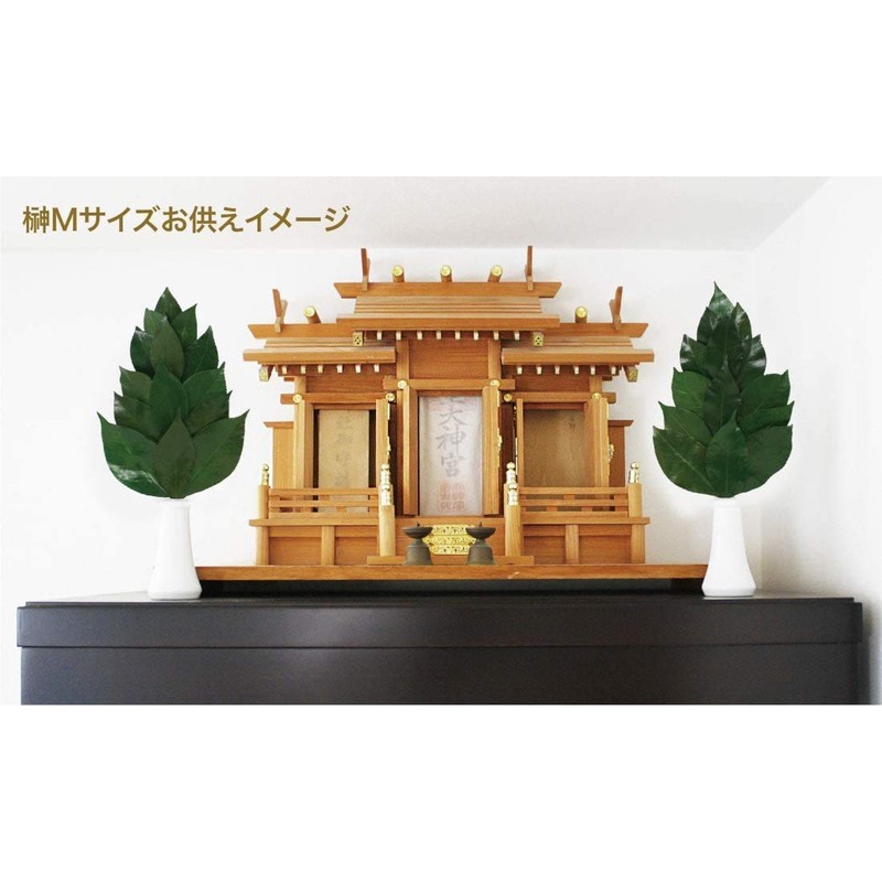 A&K Sakaki Preserved (S Size / Pair / Approx. Height