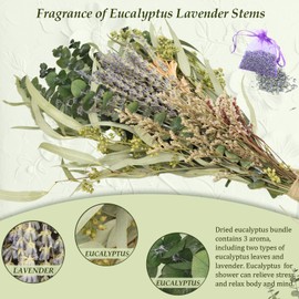 QVQQ 56pcs Natural Lavender and Eucalyptus for Shower Hanging Dried Eucalyptus Leaves and Lavender Bouquet Preserved Eucalyptus Stem for Home Bathroom Decor Wedding Fragrance SPA with Lavender Sachet