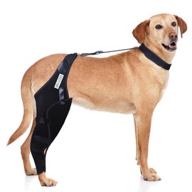 DGYAO Dog Knee Brace for ACL, Knee Cap Dislocation, Arthritis - Full Wrap - Easy Adjustable - Extra Support - Reduces Pain and Inflammation – Full Sizes