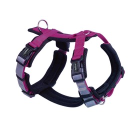 Nobby Daily Walk Comfort Harness, Raspberry, M: Chest: 36-48 cm, Belly: 57-76 cm, Pack of 1