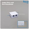 ICC 2 Port Surface Mount Box in White, Works with