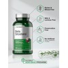 Horbäach Beta Sitosterol | 1200mg | 240 Capsules | Plant