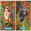 Bird Scarer, 2 Pieces Fake Owl Hanging Owl to Keep