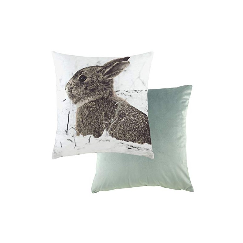 Evans Lichfield Photo Hare Cushion Cover, Multi, 43 x 43cm