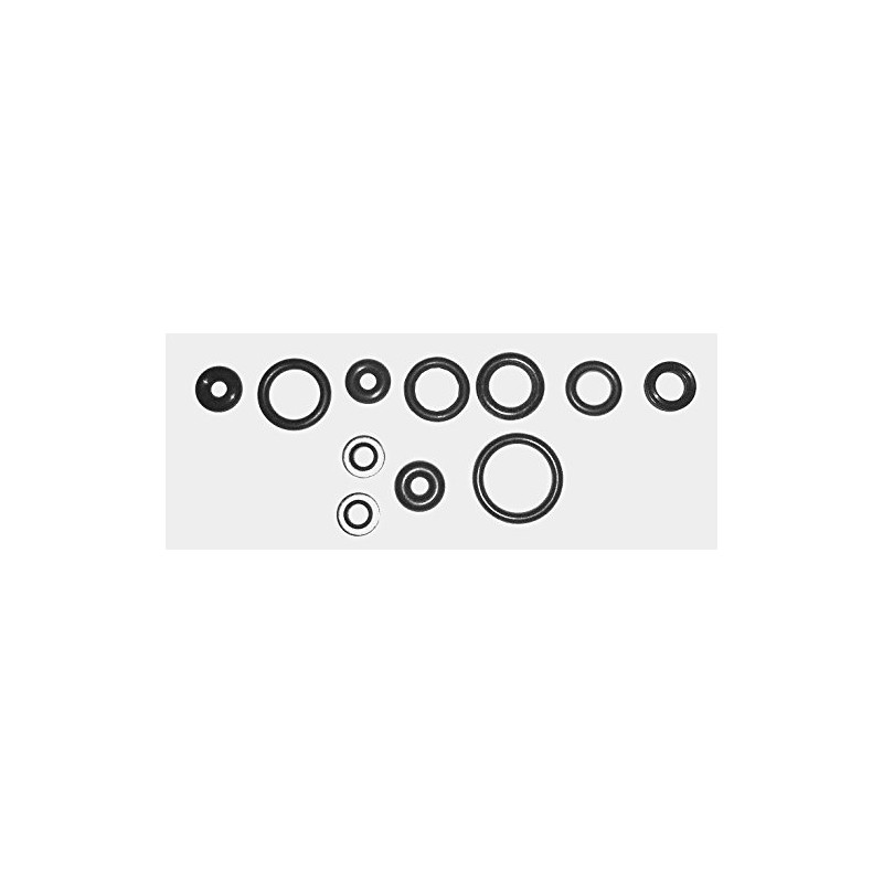 REGULATOR SEAL KIT - TO FIT BSA R10