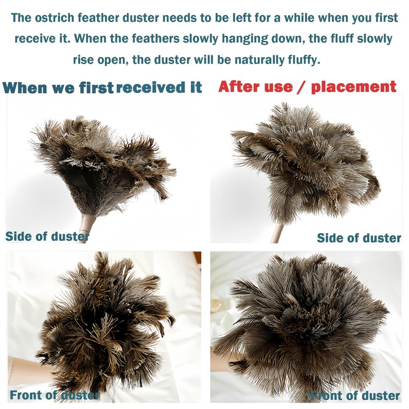 Feather Duster, Feather Dusters for Cleaning Ddzmz Fluffy Natural Genuine