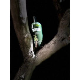 Shampoo Alquitrán De Hulla Y Aceite Esencial De Bergamota