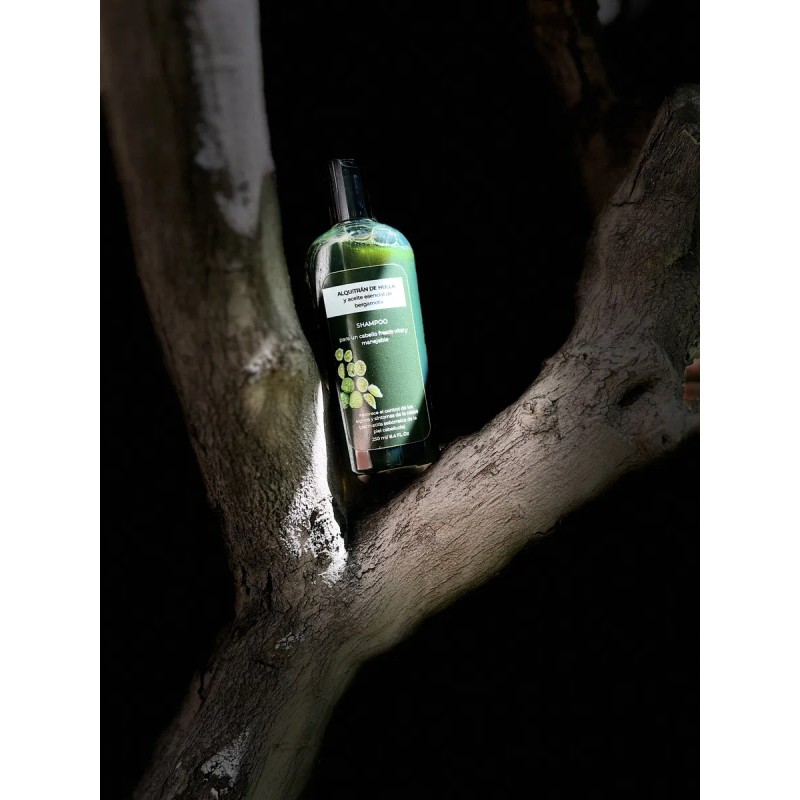 Shampoo Alquitrán De Hulla Y Aceite Esencial De Bergamota