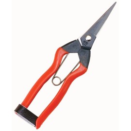 越路 花実 Scissor K – 10