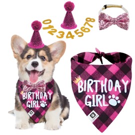 Dog Birthday Party Supplies, Small and Medium-Sized Dog Birthday Girl Triangle Scarf, Cute Hat 0-8 Personality Number, Dog Birthday Decoration Girl, Dog Birthday Scarf Girl.