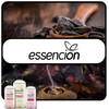 essencion Lavender Room Fragrance Refill Bottle - 500 ml -