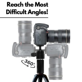 GRIFITI Nootle Paint Pole Adaptor 3/4-5 to 1/4-20 and Mini Ball Head Turns Painters Extension Poles into Camera Video Photo Mic Booms Adapter Painter's Adapters Extensioncamera Tripod Attachment