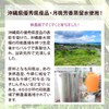 Natural Cosmetics Research Institute 100% Solution Moonpeach Water Floral Water