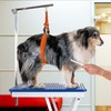 Jelly Pet Dog Belly Loop Restraint for Pet Grooming Table