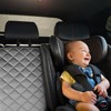 PETICON Waterproof Scratchproof Pet Bench Seat Covers for Cars, Trucks,