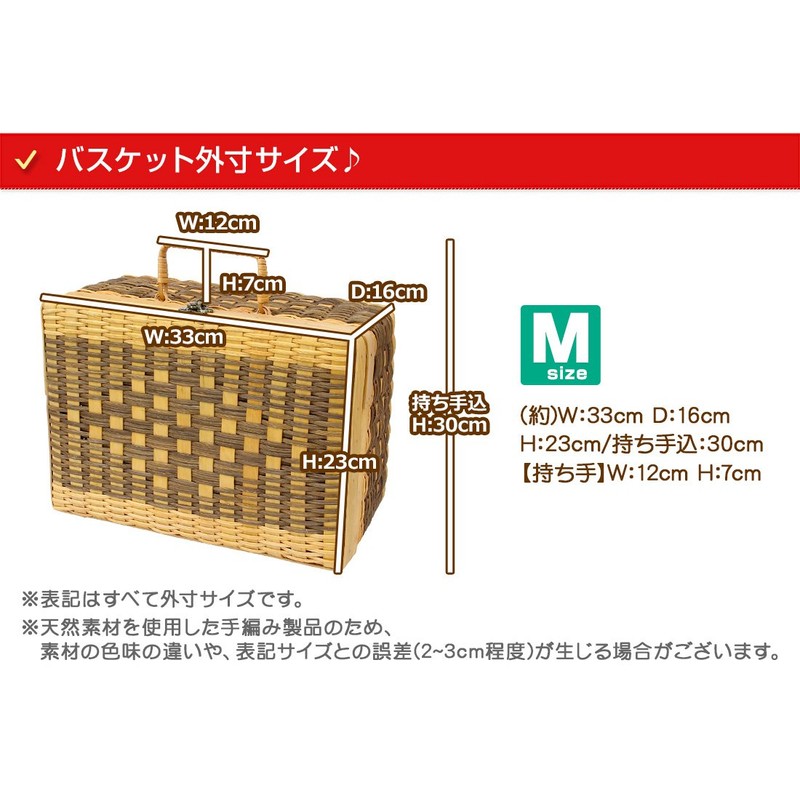 Rattan Tundra Out Pattern Trunk Basket Medium