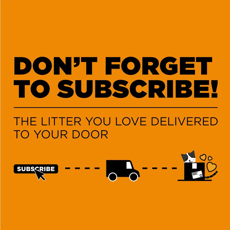 ARM & HAMMER Clump & Seal Platinum Cat Litter