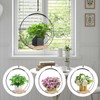 4 Pack Plant Hanger with Wood Base Hanging Window Planter