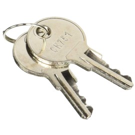 Briggs and Stratton 314290GS Key Set