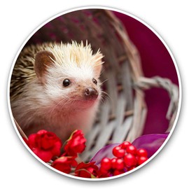 2 x 15cm Vinyl Stickers - Cute Baby Hedgehog Pygmy Albino Decals 14360