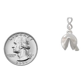 Delight Jewelry Silvertone 3-D Fortune Cookie Silvertone Infinity Post Earrings