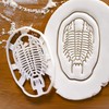 Trilobite cookie cutter, 1 piece - Bakerlogy