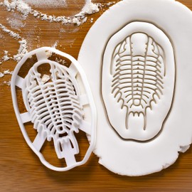 Trilobite cookie cutter, 1 piece - Bakerlogy