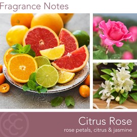 Citrus Rose Scented Jar Candle, Wellness Collection, Relaxing Aromatherapy Candle, 2 Wick White Jar Soy Blend Wax Candle for Home, 60hr Burn, 16 oz - USA Poured