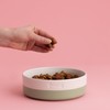 Mason Cash Pets Colour Dip Dog Bowl | 850ml Capacity