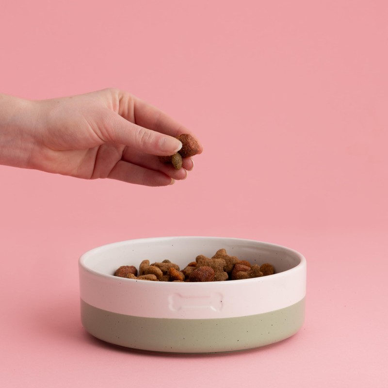 Mason Cash Pets Colour Dip Dog Bowl | 850ml Capacity