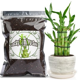 Doter Premium Lucky bamboo Soil Mix 2qt, Indoor Plants Potting Mix for All Potted Luncky bamboo, Promote Healthy Growth and Longevity