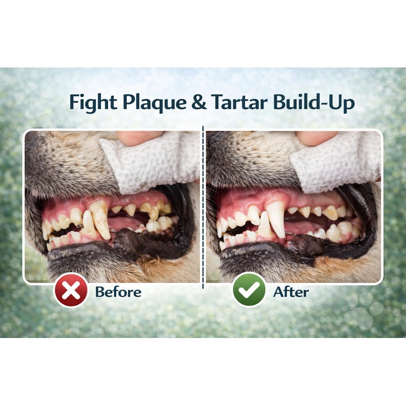 Pet Guru Disposable Dental Cleaning Finger Wipes for Dogs &