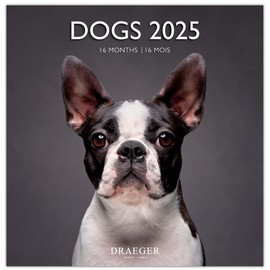 DRAEGER PARIS 1886 | Large Wall Calendar 29 x 29 cm 2025 | 7 Languages | September 2024 - December 2025 | Various Themes: Dogs | 12 Photos | FSC Paper | Note Appointments & Birthdays