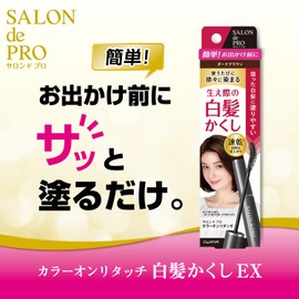 Salon de Pro Color Touch-up For Gray Hair, EX 0.6 fl oz (15 ml)