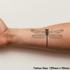 'Dragonfly Top View' Temporary Tattoo - Water Resistant, Skin-Safe, Non-Toxic