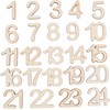 VBS Advent Numbers 1-24 Nature 2 cm Painted Advent Calendar