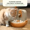 Cat Water Fountain – Eco-Friendly Zen Cat Fountain with Feng