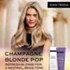 John Frieda Salon Blonde Tone Perfecting Treatments Champagne 120ml