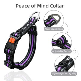 Martingale Dog Collar Reflective Nylon Collar with Quick Release Buckle, Adjustable Walking and Training for No Slip Dog Collar, Purple, M