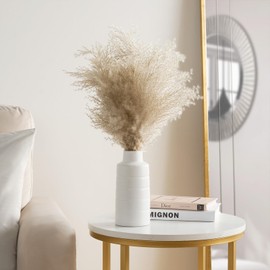 OHS Natural Dried Pampas in Pot, Artificial Plants Home Decorative Dried Flowers for Living Room Bedroom Floral Arrangements Bouquet Pampas Grass Vase Ceramic, White